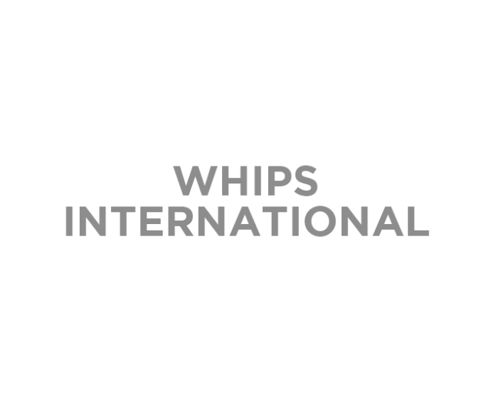 WHIPS INTL INC
